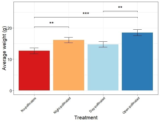 Thijs Fijen, Anne Roovers, Jurriën van Deijk, Roy van Grunsven